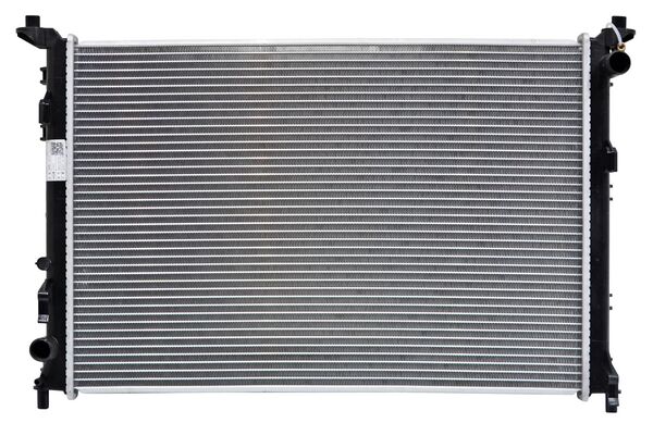 Radiador Dolphin 2024 2025 Aut Ev 44.9 Kwh 288 260116