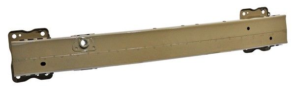 Refuerzo Fascia Del Dolphin 2024 2025 288 251212