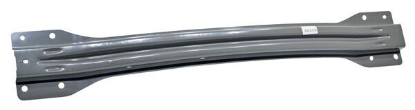 Refuerzo Fascia Tras Dolphin Mini 2024 2025 2026