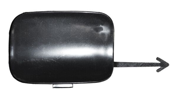 Tapa Fascia Del Dolphin 2024 2025